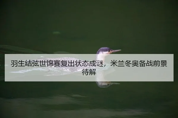 yu-sheng-jie-xian-shi-jin-sai-fu-chu-zhuang-tai-cheng-mi-mi-lan-dong-ao-bei-zhan-qian-jing-dai-jie-1-192.jpg
